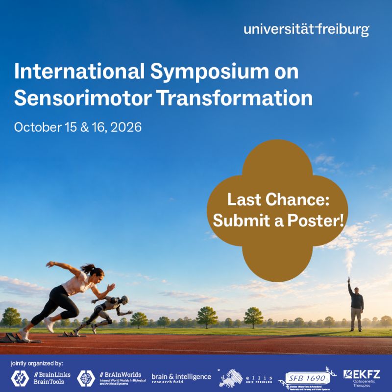 Save the Date: International Symposium