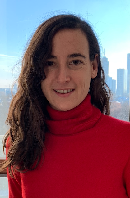 Prof. Dr. Gemma Roig
